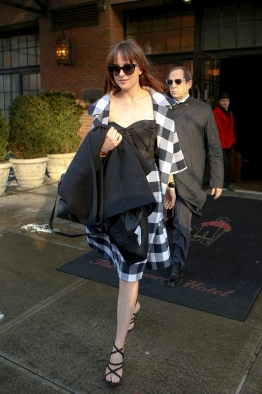 DakotaJohnsonfan_282129.jpg