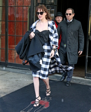 DakotaJohnsonfan_286329.jpg