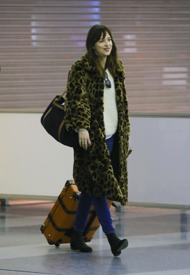 Dakota_281229.jpg
