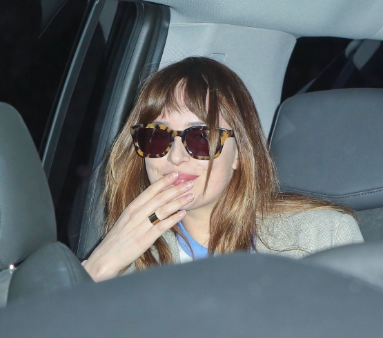 dakotajohnson_2810829.jpg