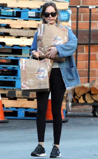 dakota-johnson-2.jpg