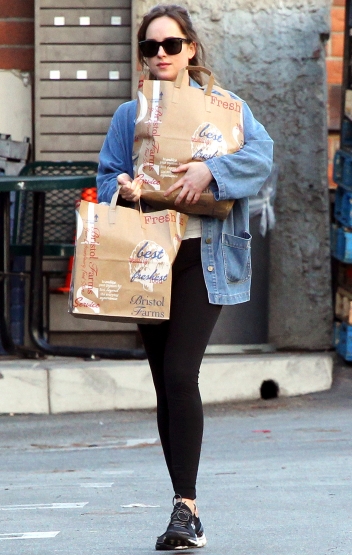 dakota-johnson-4.jpg