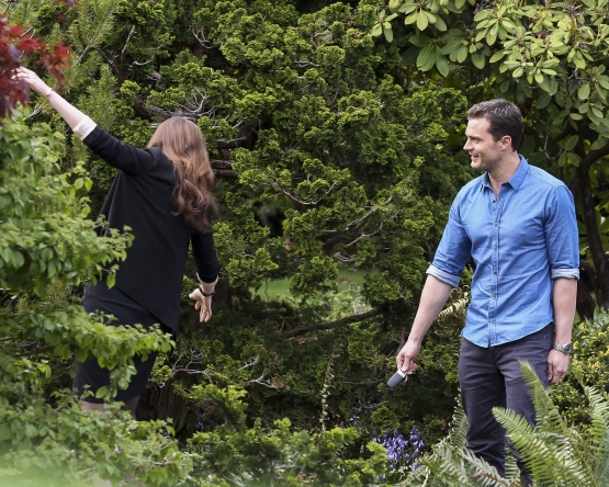 Fifty_Shades_281829.jpg