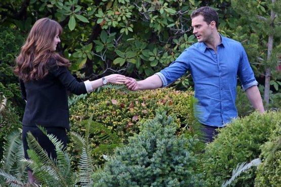 Fifty_Shades_282229.jpg
