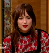dakotajohnson0313.jpg